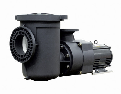 Pentair EQ Series 1-Phase Premium Efficient Commercial Pump with Strainer, 10 HP, 230 V, 340238