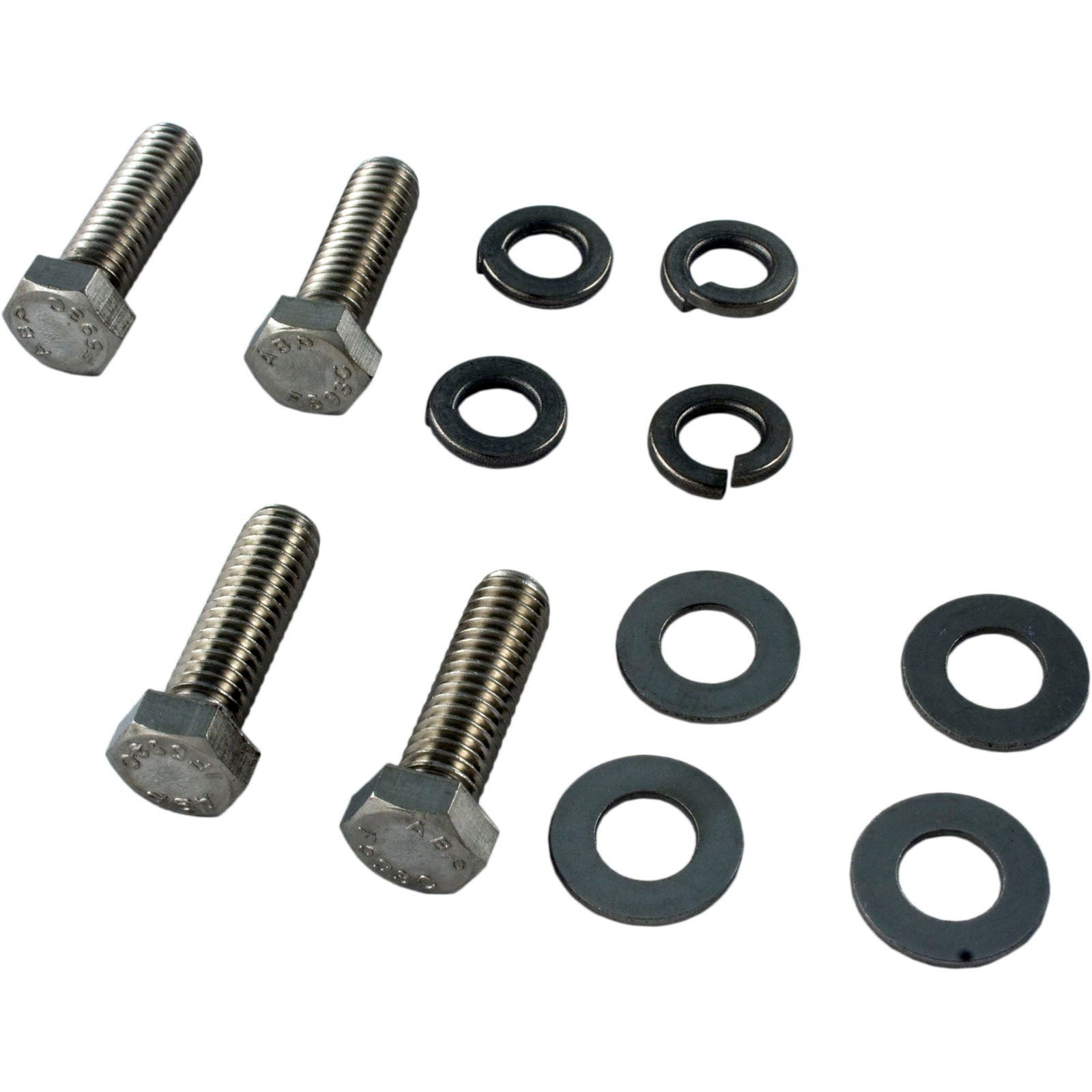 Hardware Kit, Hayward Viper, Seal Plate to Motor, Quantity 4