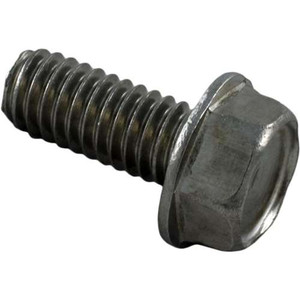 Pentair Strainer Pot Screw 5/16-18, 354265