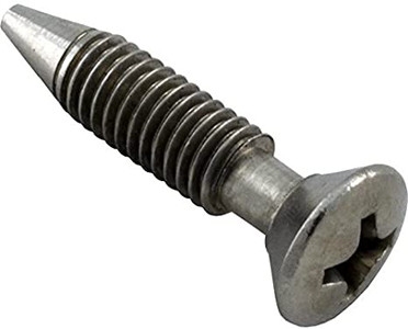 Pentair Light Housing Retaining Screw, 37337-0079