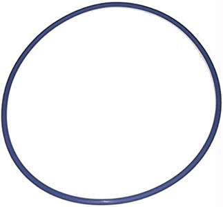 Blue Square Abyss Canister O-Ring, 502004