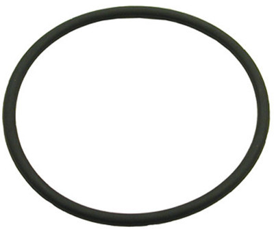 Zodiac Electrode Oring | W151211