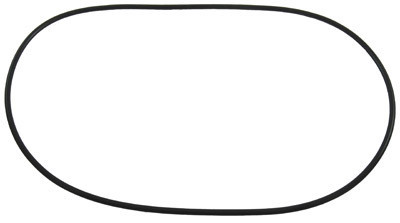 Waterway O-Ring Clearwater Ii Filter Tank Lid | 805-0460