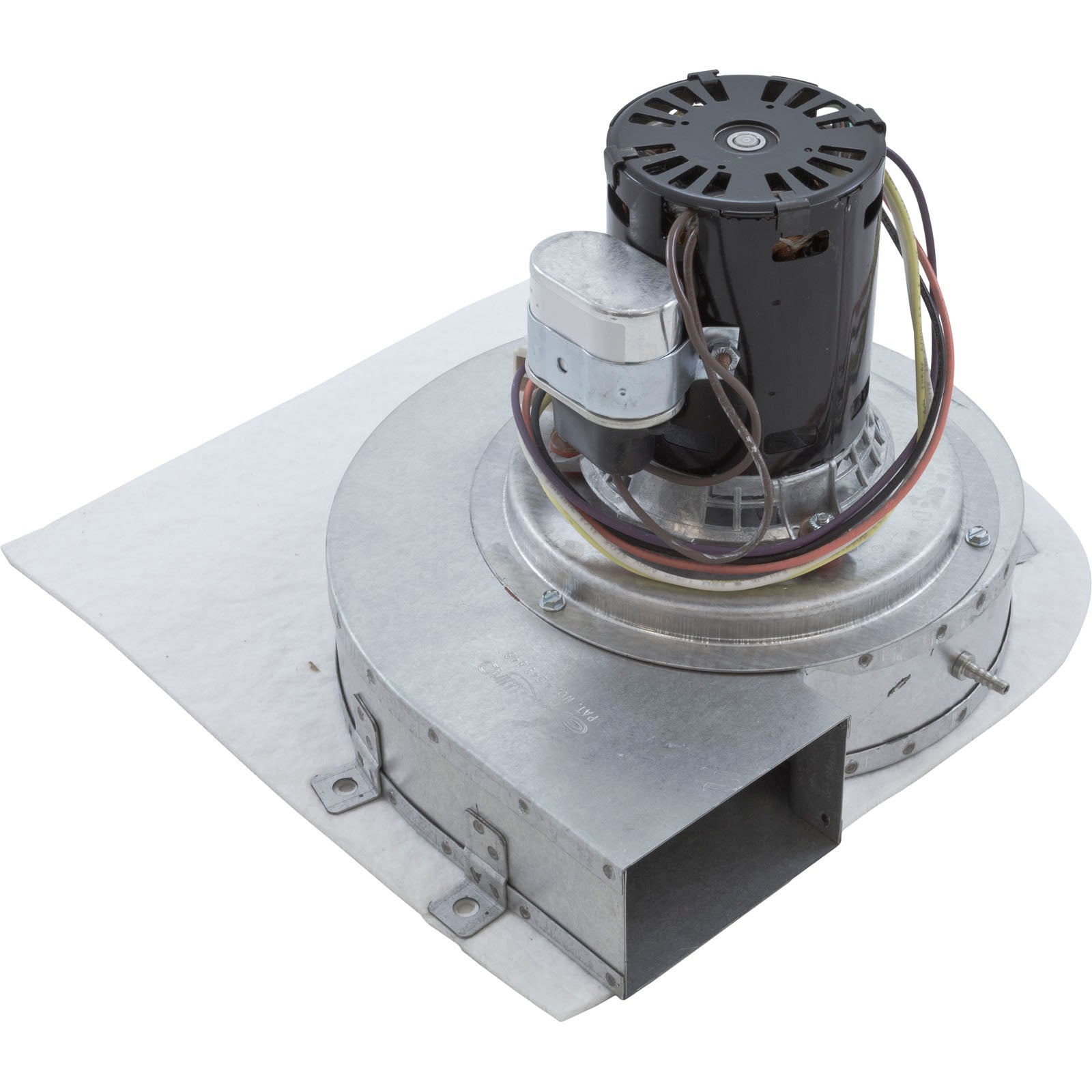 Blower, Pentair Minimax NT 250/300, with Gasket