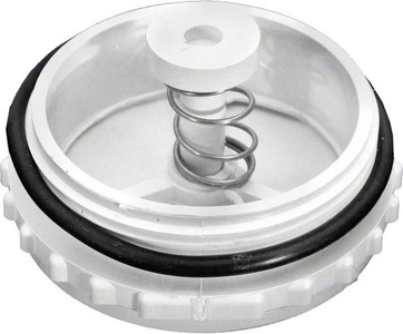 Pentair Bermuda Skimmers Equalizer Valve Assembly, 506162Z