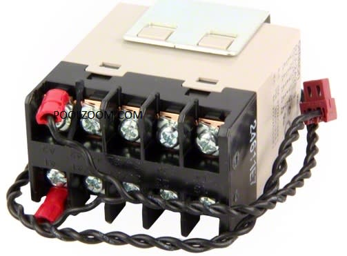 Pentair Genuine OEM Two-Speed 3HP Relay