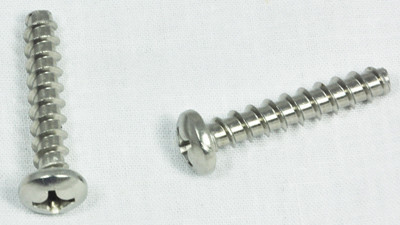 Hayward Cover Screw, Set Of 2, Self Tapping | WGX1030Z1A