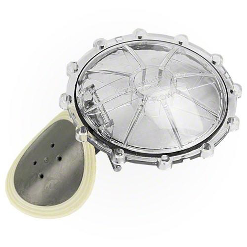 Pentair Check Valve Flapper Replacement Kit | 270119Z