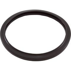 Zodiac Pool Equipment Light Gasket, Zodiac, RGBW LED Pool Light, Silicone | R0790500