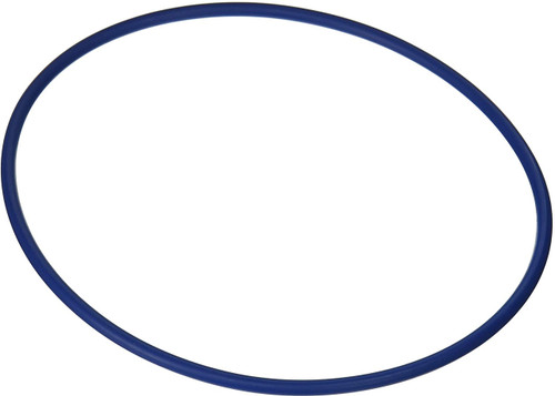 Hayward Housing O-Ring | GMX600F