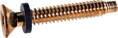 Pentair Pilot Screw With Gum Washer Brass, 79104800Z