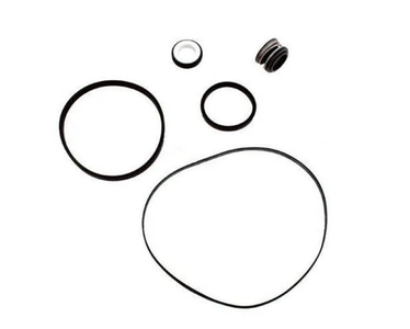 Aladdin Premium Salt Water Repair Seal Kit, GO-KIT1V-9