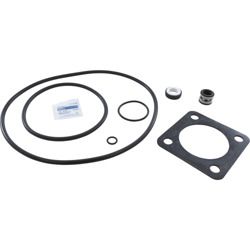 Pmp Rebuild Kit Starite Duraglas Maxiglas Pre 1998 with Viton Seal PSK-ST1