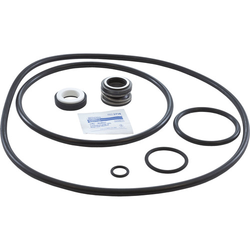 Pump Rebuild Kit Starite DuraglasII MaxiglasII with Viton Seal PSK-ST3