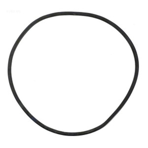 Pentair Tank O-Ring, 35505-0421