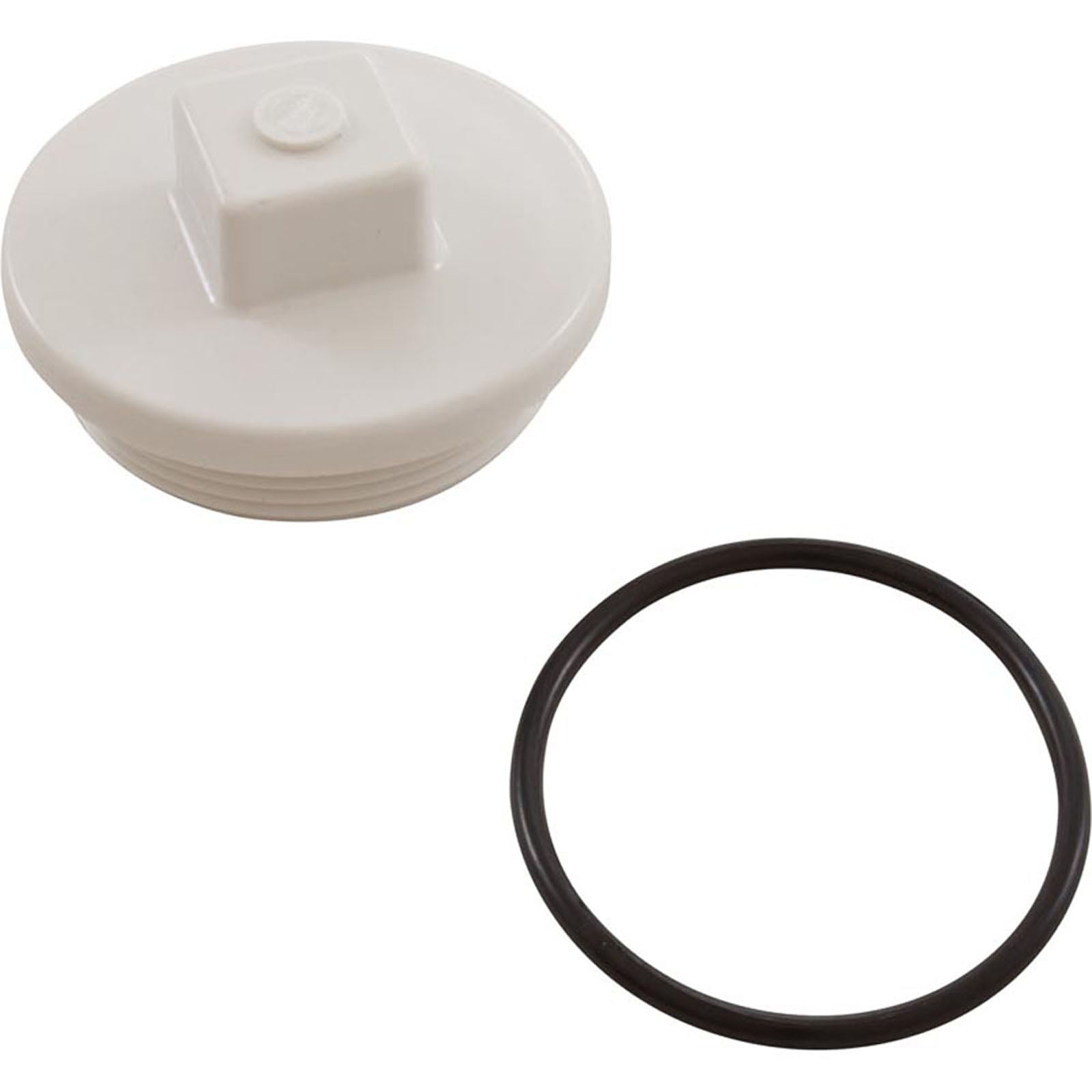 Plug, Main Drain, 2", Gunite
