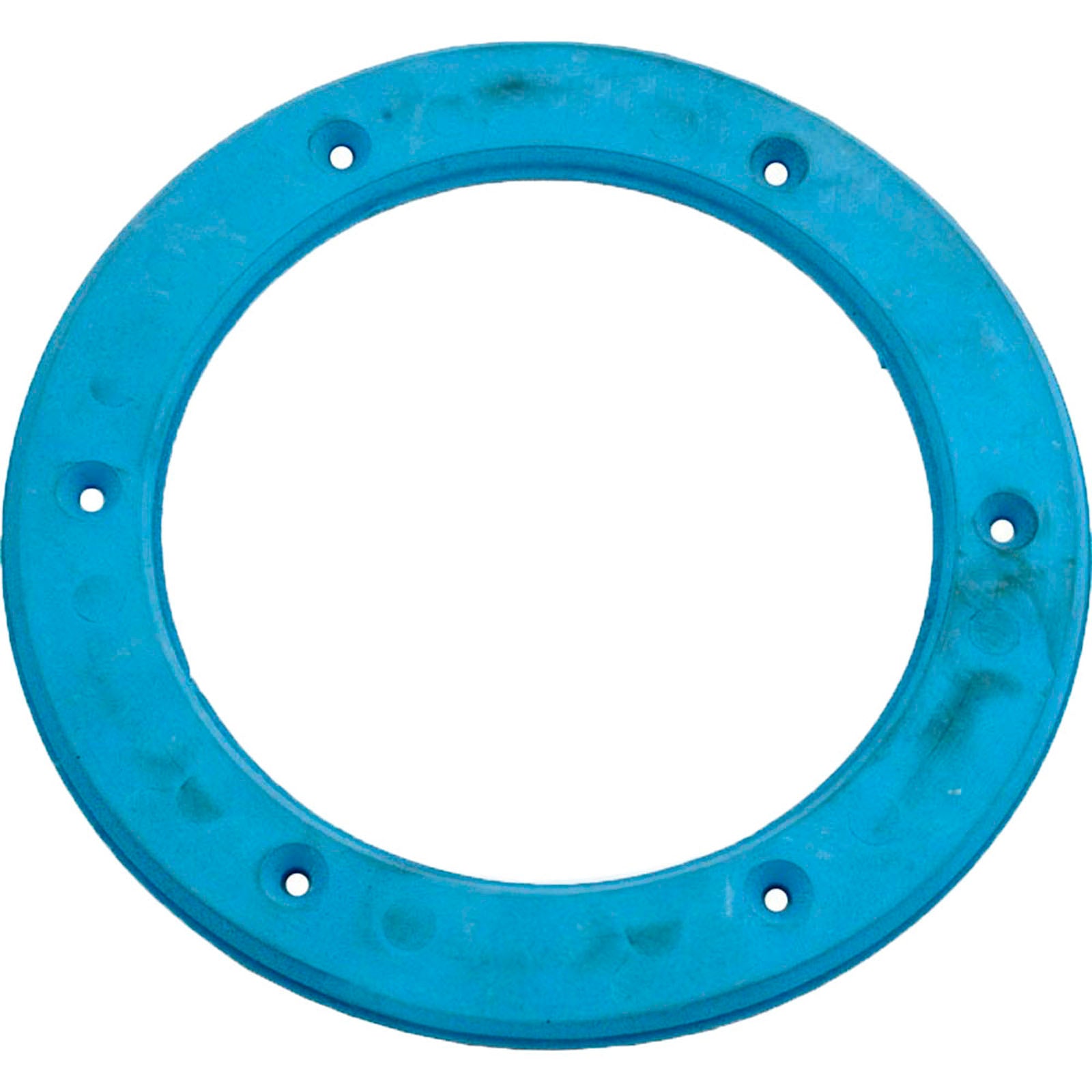 Light Niche Ring Gasket, Sta Rite, Small