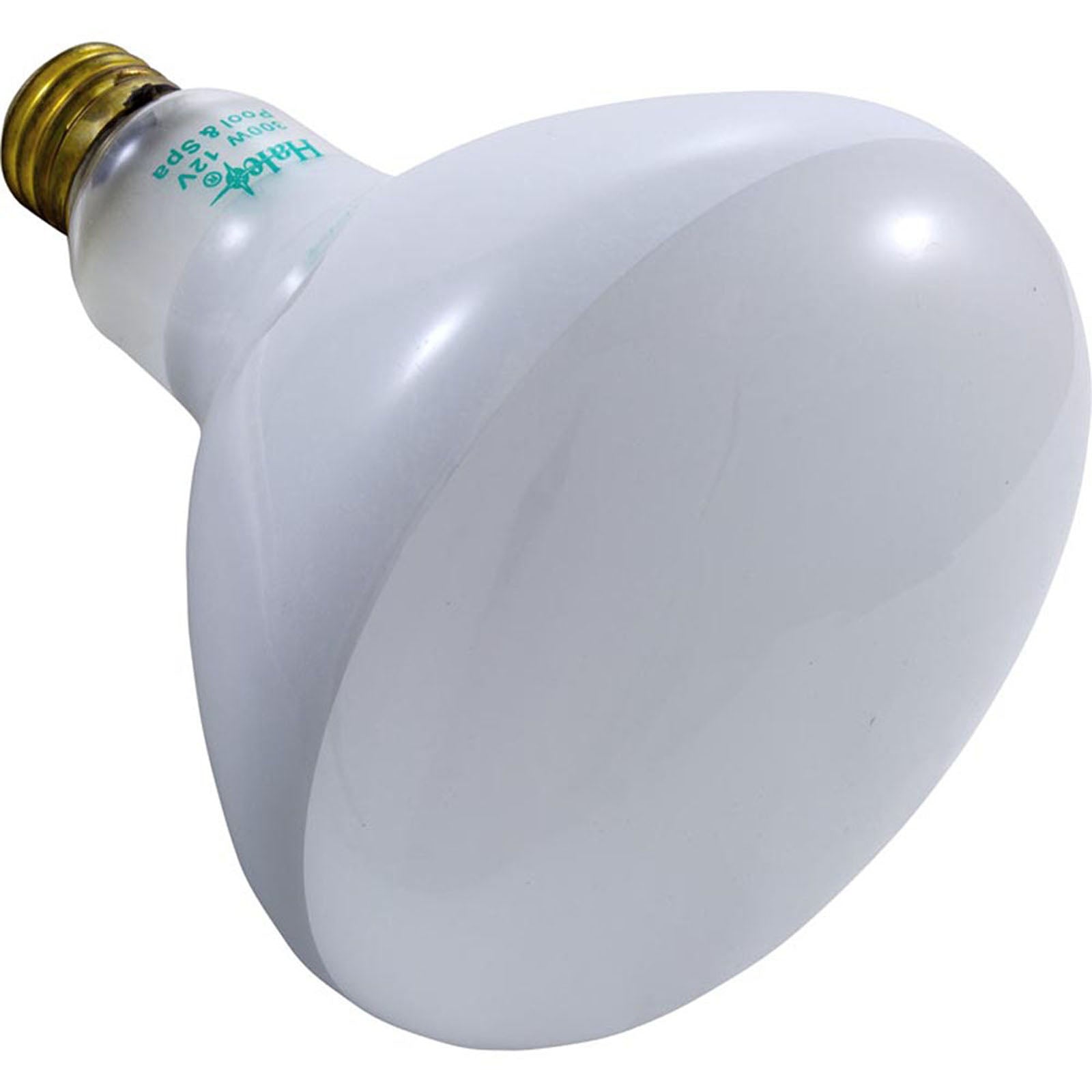 Replacement Bulb, Flood Lamp, 300w, 12v