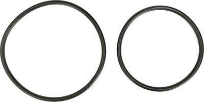 Hayward O-Ring Kit ProGrid, SwimClear, Set of 2, DEX2420Z8A