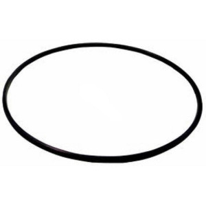 Hayward Filter Tank O-Ring, Metal Reinforced, DEX2422Z2