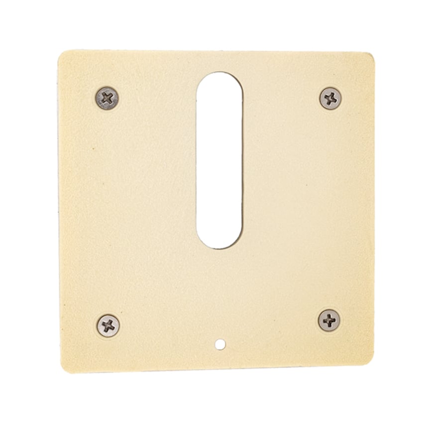 Polaris Beige MiniJet Cover Plate Screws