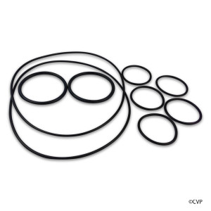 Aladdin Caretaker O-Ring KIT, O-516KIT-9