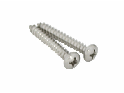 Pentair Cover To Frame Screw, Pack of 2, EU80