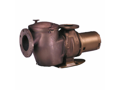 Pentair C-Series 7.5 HP Standard Efficiency 3-Phase Commercial Bronze Pump with Strainer, 200-208V, 347943
