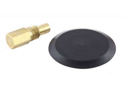 Raypak Rear Drain Plug and Cover, 005264F