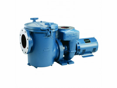 Sta-Rite Sta-Rite CSP Series 10 HP Nema 3-PSP Series 3-Phase Cast Iron Pool Pump Without Strainer, 230-460V, CSPHL3-143