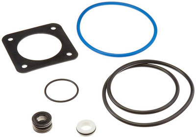 Pentair Max-E/Dura-Glas Seal/Gasket Kit, Models With Copper Insert Pre-1998, PP1000