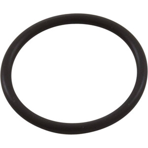 Zodiac 21 X 2 MM 9300xi/9300 O-Ring Kit, R0544100