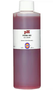 Pentair 8 oz pH Solution Phenol Red with Chlorine Neutralizer