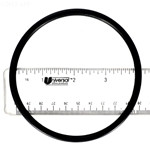 Pentair Lid O-Ring, R172009Z