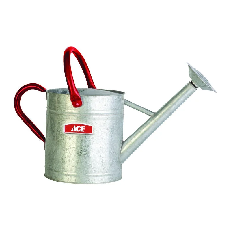 Ace Gray 2 gal Steel Watering Can