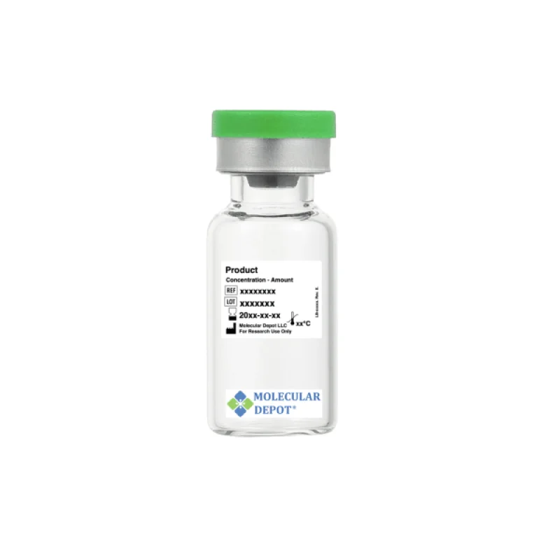 Anti-Casein Kinase I Alpha CSNK2A1 Antibody
