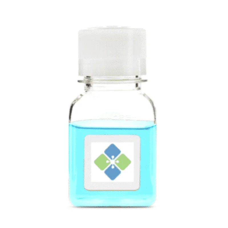 Biotinylated Histone Octamer (H3.3)