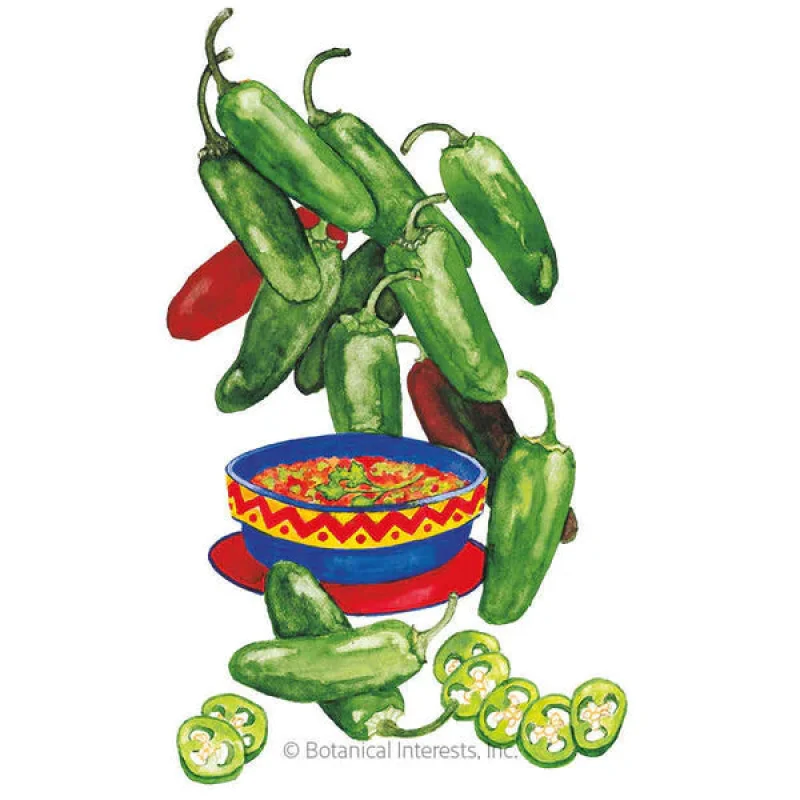 Botanical Interests Early Jalapeo Chile Pepper Seeds
