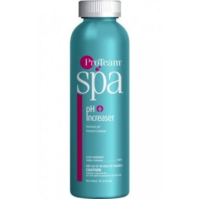 Proteam Spa PH Increaser Dry 1 lb.