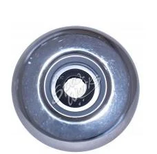 Cal Spas 3 Inch Quad Blaster Jet PLU21703608 Stainless