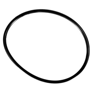 Hayward Chlorinator Cover Viton O-Ring, CLX200K