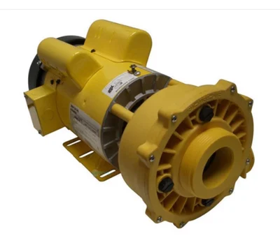 Coast Spa 5Hp 230V Pump 3722020-6310