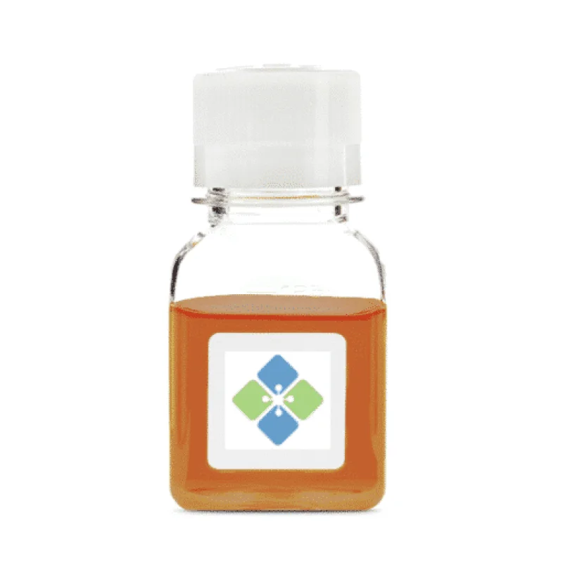 Donkey-anti-Goat IgG (H&L) Conjugated to Gold (0.8 nm)