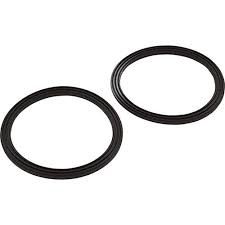 Pentair 2.5" Union Diamond Seal Kit, Pack of 2, 410016Z