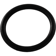 Pentair Lateral O-Ring, U9-370Z