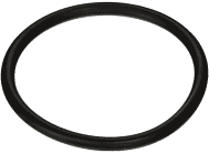 Pentair 2" Bulkhead O-Ring, 154492Z