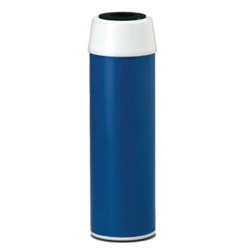 Everpure Costguard - CGT-10 (GAC-10) - Replacement Water Filter