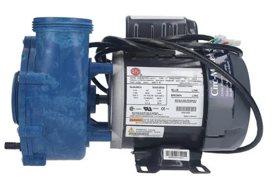 Gecko CMXP Spa Pump 1 Speed 230V 2″ MBT 06310003-2340