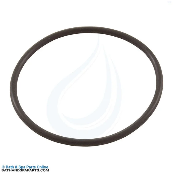 Hayward Cover O-Ring (SPX0727K)