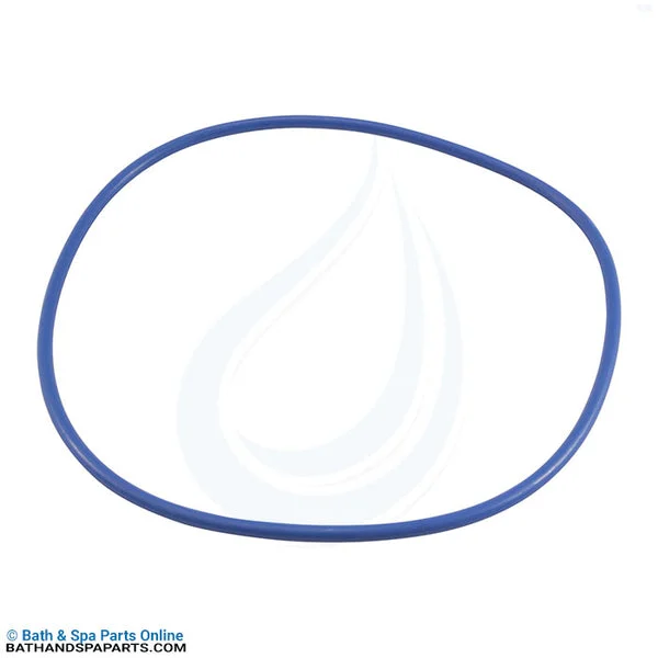 Hayward EasyClear Filter Cover O-Ring (CX400G)